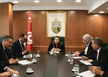 Bientôt une nouvelle usine sidérurgique d’une capacité de 300 000 t à Menzel Bourguiba