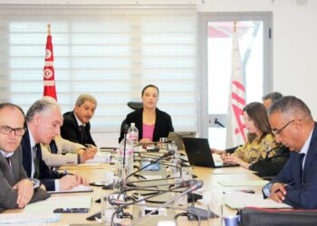 Trois projets touristiques obtiennent le feu vert en Tunisie