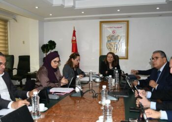 55 millions de dinars pour renforcer la compétitivité industrielle en Tunisie