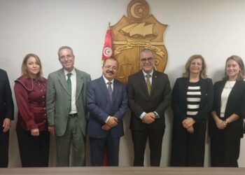 Onudi-Tunisie: réalisation de 15 projets dans divers domaines