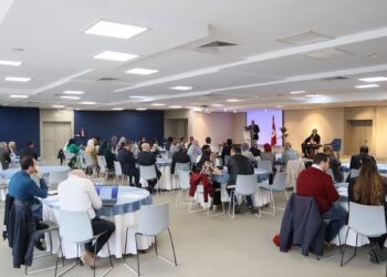 ANME-GIZ: présentation de 3 initiatives nationales pour le processus de décarbonation