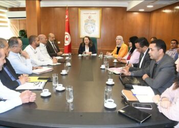 Mdhilla 2: un projet stratégique pour l’économie tunisienne reprend vie