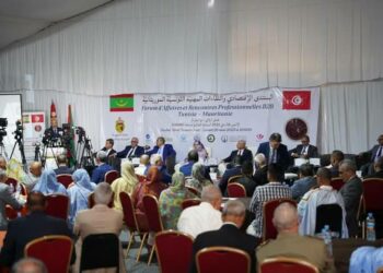 Tunisie-Mauritanie: volonté de renforcer la coopération bilatérale