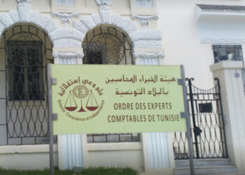 Les experts-comptables rejettent le projet de loi sur les conseillers fiscaux