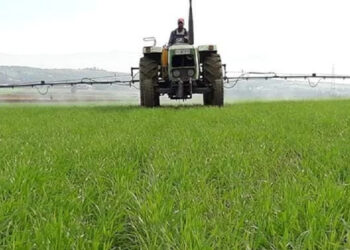 Exportations agricoles françaises : l’Afrique reste un marché clé malgré des disparités régionales