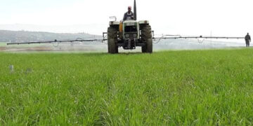 Exportations agricoles françaises : l’Afrique reste un marché clé malgré des disparités régionales