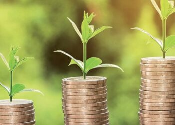 Investissements supérieurs à 200 mille dinars: l’agriculture domine