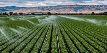 Tunisie: un projet d’irrigation de 20 000 hectares grâce aux eaux usées traitées