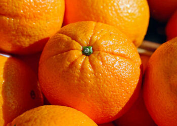 Tandis que le Maroc stagne, la Tunisie trace son chemin dans l’export des agrumes