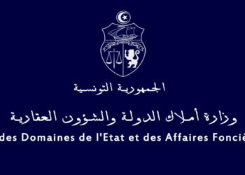 Saison estivale: renforcement du contrôle des véhicules administratifs pour lutter contre les abus