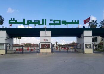 La Sotumag décide la distribution de dividendes au titre de l’exercice 2024