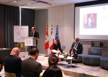 Tunisie–Italie: 20 startups tunisiennes bénéficieront du programme Lab Innova