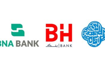 Moins de 14% des crédits des banques publiques, servent le bien public.