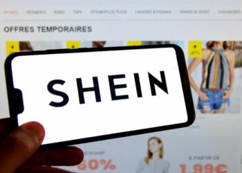 Bientôt la fin de Shein en France ?