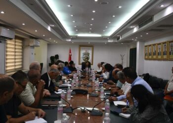 La ministre de l’Industrie appelle à finaliser la révision du Code minier