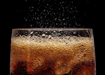 Les bénéfices de la SFBT frôlent les 170 Mtnd au premier semestre 2025