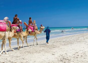 Tourisme à Djerba: une hausse attendue en août et appel à une mobilisation écologique durable