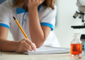 La Tunisie se place au 5e rang des systèmes éducatifs en Afrique