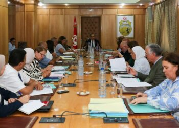 Technologies nucléaire: la Tunisie adopte le programme-cadre 2025-2029 pour une utilisation sécurisée