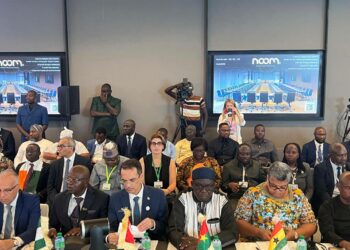 Vision Afrique 2063: la Tunisie appelle à mobiliser davantage de financements pour l’eau et l’agriculture