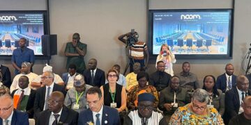 Vision Afrique 2063: la Tunisie appelle à mobiliser davantage de financements pour l’eau et l’agriculture