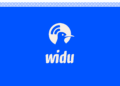 WIDU Africa: la diaspora tunisienne peut désormais soutenir les entrepreneur.e.s depuis toute l’UE