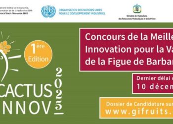 “Cactus Innov”: lancement du premier concours d’innovation pour valoriser la figue de barbarie