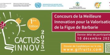 “Cactus Innov”: lancement du premier concours d’innovation pour valoriser la figue de barbarie
