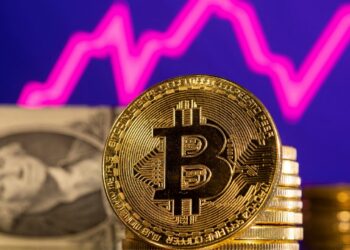 Ce pays africain en tête dans l’adoption des cryptomonnaies