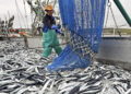 Fin des subventions nuisibles à la pêche: ce que l’accord de l’OMC change pour l’Afrique