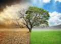 La Tunisie défend un financement équitable pour faire face aux défis climatiques