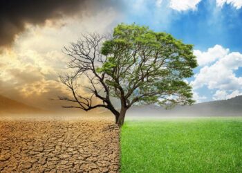 La Tunisie défend un financement équitable pour faire face aux défis climatiques