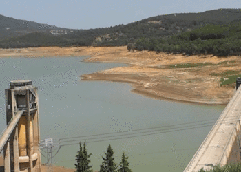 Eaux usées traitées: une solution cruciale pour l’avenir hydrique de la Tunisie