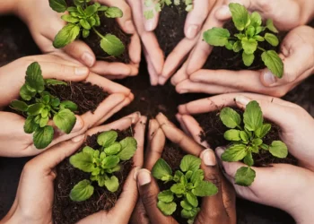 La BERD soutient la transition écologique en Tunisie avec 20 millions d’euros