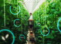 Agriculture 4.0: comment les nouvelles technologies peuvent transformer l’avenir agricole en Tunisie
