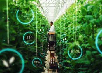 Agriculture 4.0: comment les nouvelles technologies peuvent transformer l’avenir agricole en Tunisie