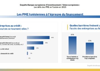 La difficulté d’accès au financement bancaire représente un frein structurel pour les PME tunisiennes