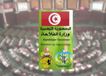 Canal de Medjerda: le ministère de l’Agriculture renforce la sécurité des rives dans les zones à risque