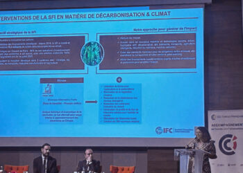 90 milliards de dollars pour un avenir durable: le rôle des bailleurs de fonds multilatéraux en Afrique