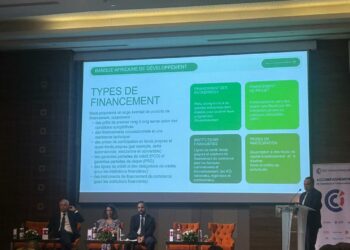 La BAD mobilise plus de 600 millions d’euros pour soutenir les entreprises privées en Afrique du Nord