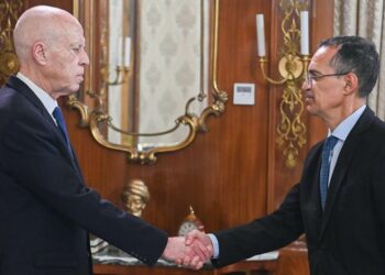 Huile d’olive tunisienne: une saison record sous le signe de l’excellence et de l’ouverture