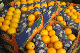 Oranges: l’Afrique du Sud reprend la tête des exportations vers l’UE
