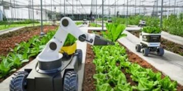 La FAO unit les entreprises tunisiennes pour une agriculture plus forte face au climat 