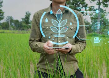 Tunisie: le top 10 des startups agricoles qui révolutionnent le secteur en 2025