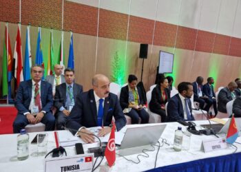Partenariat: les rencontres de Mohamed Ali Nafti au Sommet du Comesa
