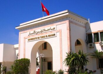 L’Université de Tunis El Manar classée parmi les 201–250 meilleures au monde en sciences interdisciplinaires
