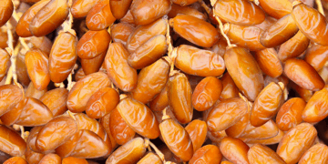 La Deglet Nour tunisienne officiellement reconnue dans la nouvelle norme du codex pour les dattes fraîches
