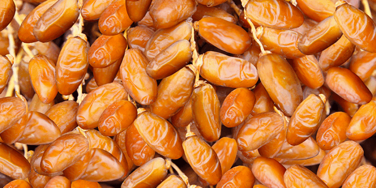 La Deglet Nour tunisienne officiellement reconnue dans la nouvelle norme du codex pour les dattes fraîches