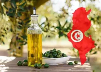 Huile d’olive: la Tunisie met en réserve 150 000 tonnes pour casser les prix et protéger la filière