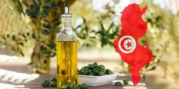 Huile d’olive: la Tunisie met en réserve 150 000 tonnes pour casser les prix et protéger la filière